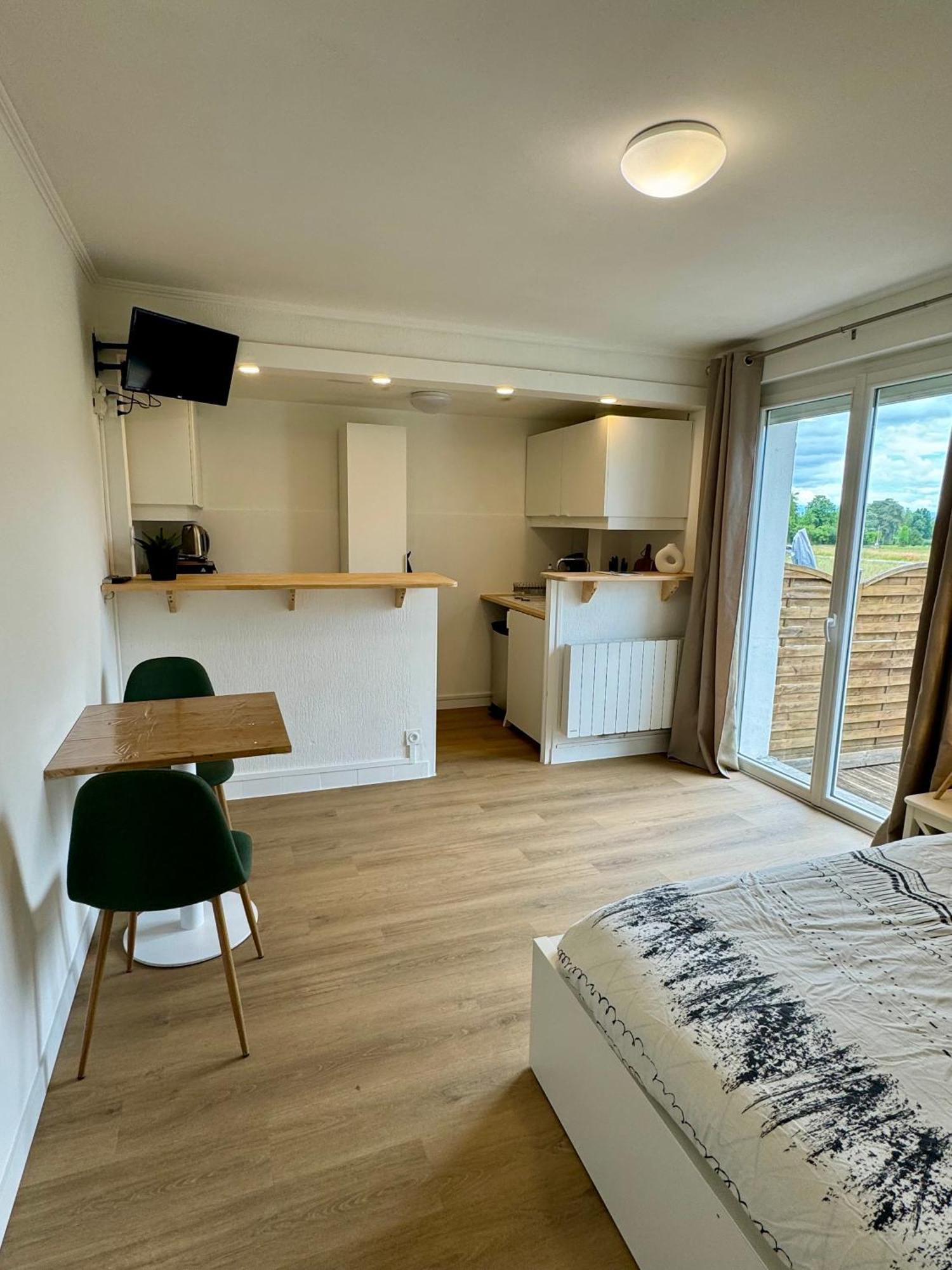 Studio Avec Jardin Proche Lac Saint-Jorioz Eksteriør billede